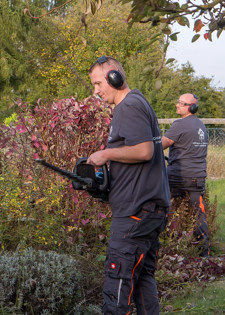 Beide Inhaber arbeiten mit Heckenscheren an einer Gartenhecke und tragen Gehörschutz
