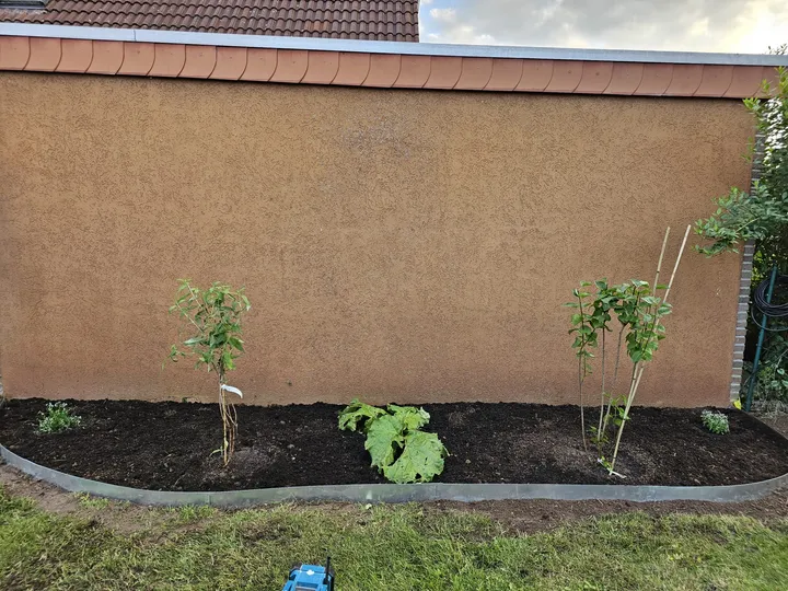 Neu angelegtes Gartenbeet mit Einfassung und Bepflanzung