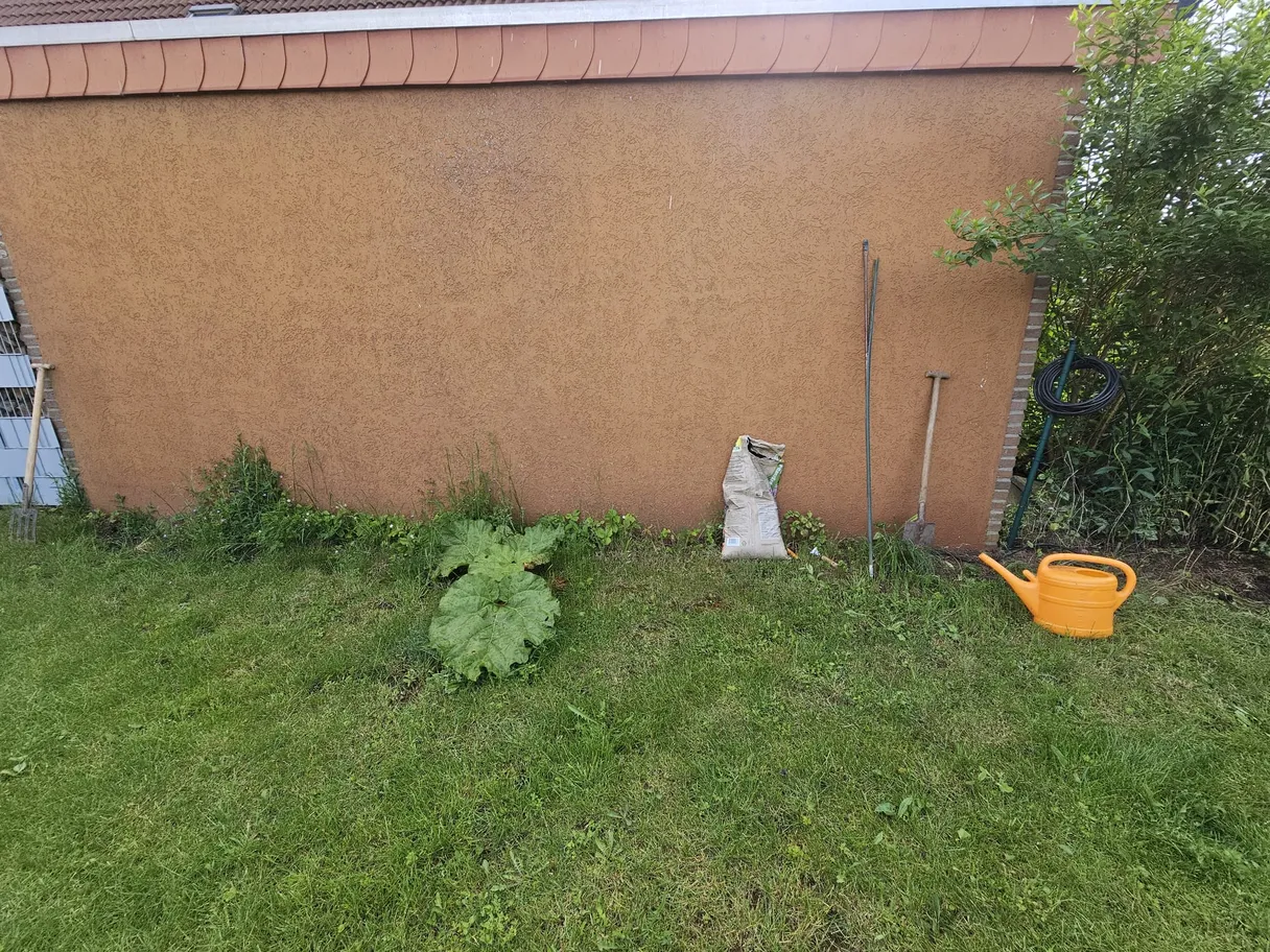 Verwilderter Gartenbereich vor der Anlage des Beetes
